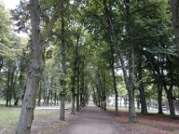 DSC7624  Le mail : quatre allées d&#39;arbres. L&#39;élagage des tilleuls forme ici une voûte feuillée.