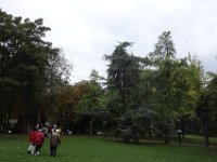 DSC7627