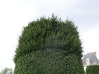 DSC7637