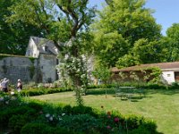 DSC1116 DxO  Le jardin