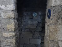 DSC3900