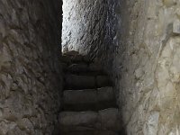 DSC3903