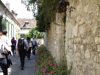DSC3908  Rue bordée de roses de Provins